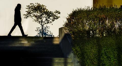 Sjálfbærniskýrsla